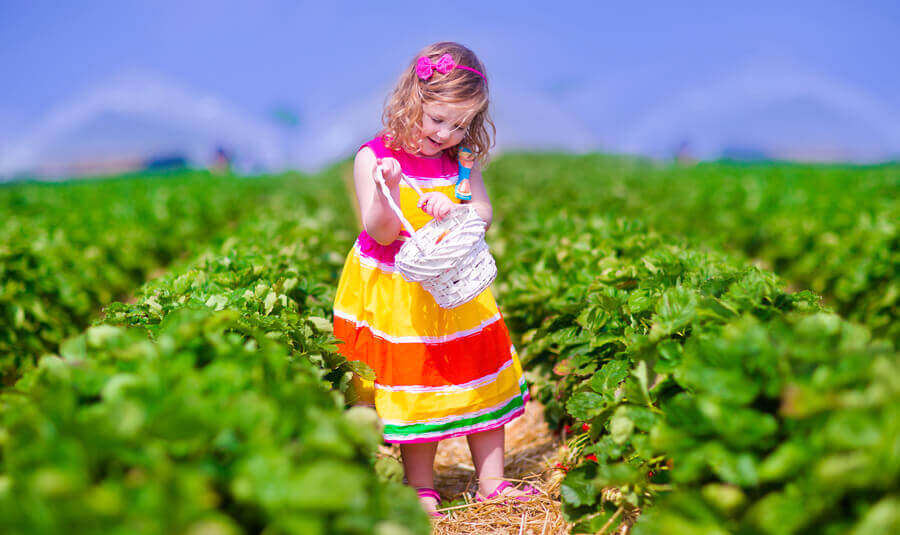 Two curabitur lobortis est at odio imperdiet. Vivamus