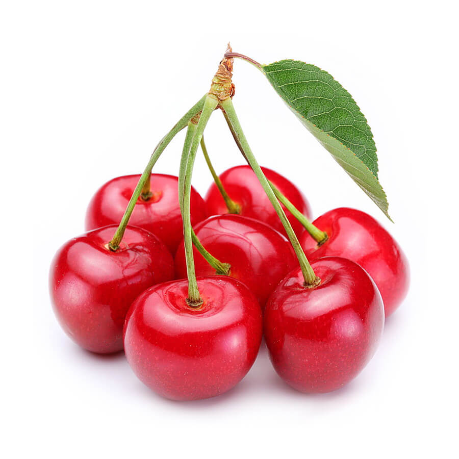 Orbit Terrarium - Large