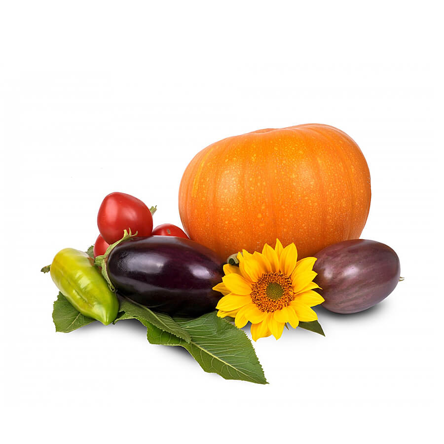 New Able Brewing System