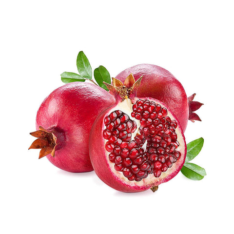 Orbit Terrarium - Large